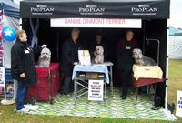 Dogs on Show, NSW 16 June 2012